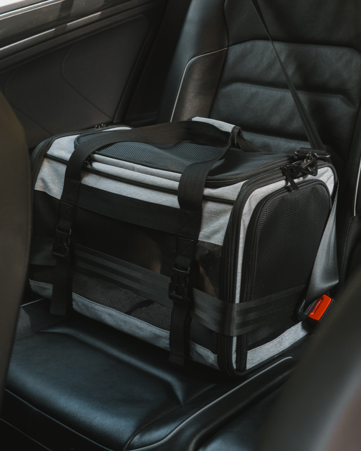 Cabin-size pet carrier